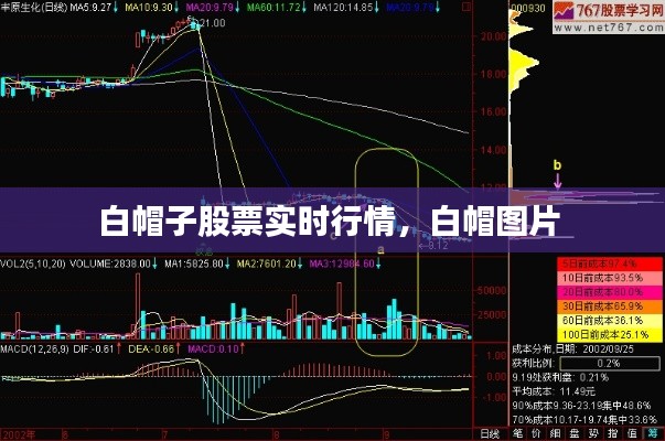 白帽子股票實(shí)時(shí)行情，白帽圖片 
