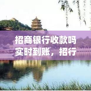 招商銀行收款嗎實時到賬，招行app收款 