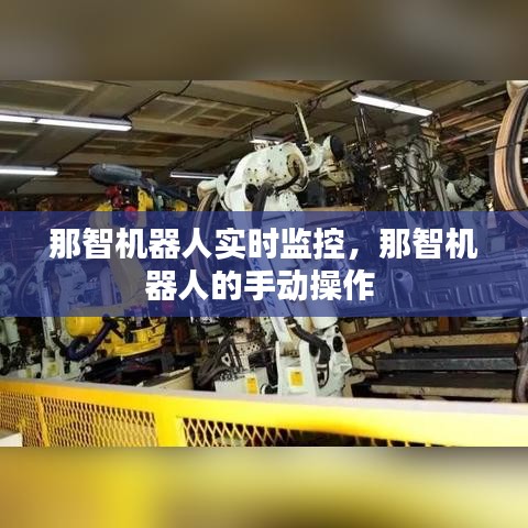 那智機器人實時監(jiān)控，那智機器人的手動操作 