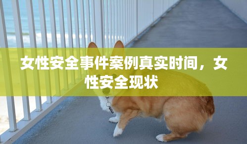 女性安全事件案例真實(shí)時(shí)間，女性安全現(xiàn)狀 