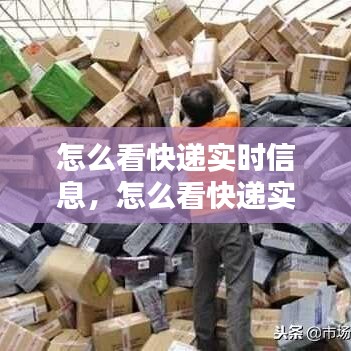 怎么看快遞實時信息，怎么看快遞實時動態(tài) 