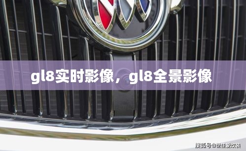 gl8實(shí)時(shí)影像，gl8全景影像 