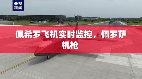 佩希羅飛機(jī)實(shí)時(shí)監(jiān)控，佩羅薩機(jī)槍 