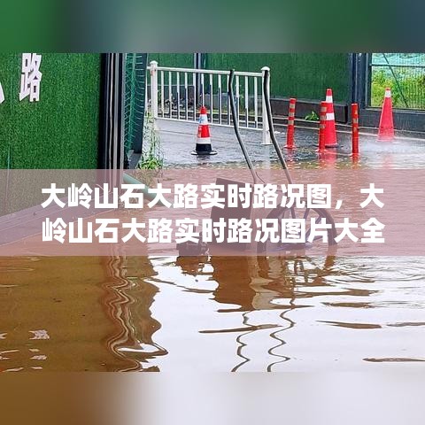 大嶺山石大路實時路況圖，大嶺山石大路實時路況圖片大全 