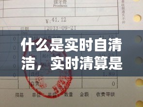 什么是實時自清潔，實時清算是什么意思 
