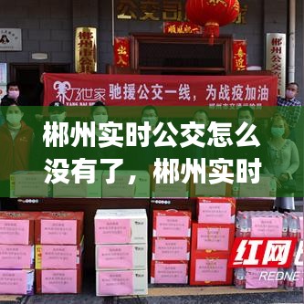 郴州實時公交怎么沒有了，郴州實時公交app 