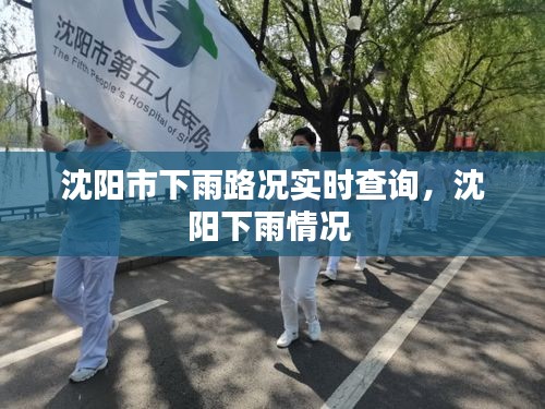 沈陽市下雨路況實(shí)時(shí)查詢，沈陽下雨情況 