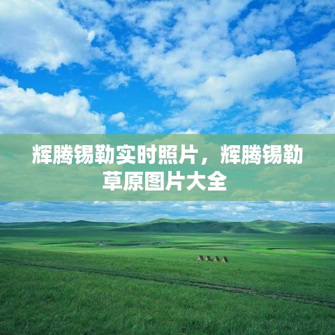 輝騰錫勒實時照片，輝騰錫勒草原圖片大全 