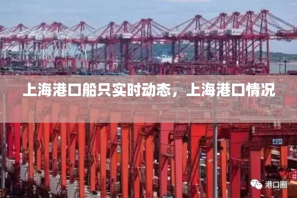 上海港口船只實時動態(tài)，上海港口情況 