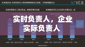實時負責人，企業(yè)實際負責人 