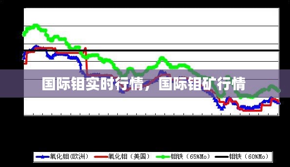 聯(lián)系我們 第202頁