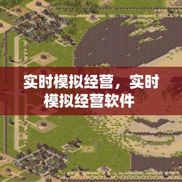 實(shí)時(shí)模擬經(jīng)營，實(shí)時(shí)模擬經(jīng)營軟件 