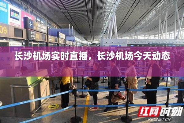 長(zhǎng)沙機(jī)場(chǎng)實(shí)時(shí)直播，長(zhǎng)沙機(jī)場(chǎng)今天動(dòng)態(tài) 