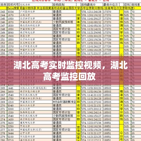 湖北高考實時監(jiān)控視頻，湖北高考監(jiān)控回放 