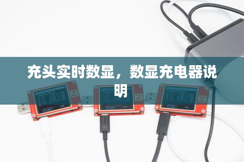 充頭實(shí)時(shí)數(shù)顯，數(shù)顯充電器說明 