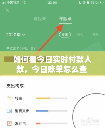 如何看今日實時付款人數(shù)，今日賬單怎么查 