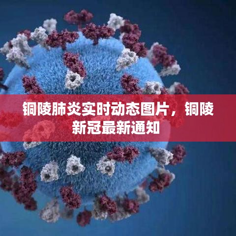 銅陵肺炎實時動態(tài)圖片，銅陵新冠最新通知 