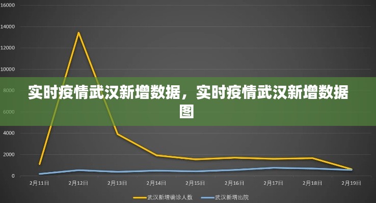 實(shí)時(shí)疫情武漢新增數(shù)據(jù)，實(shí)時(shí)疫情武漢新增數(shù)據(jù)圖 