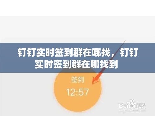 釘釘實(shí)時(shí)簽到群在哪找，釘釘實(shí)時(shí)簽到群在哪找到 