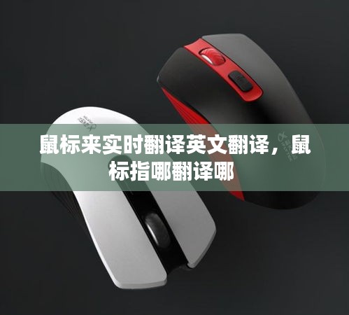 澹泊明志，寧靜致遠 第3頁
