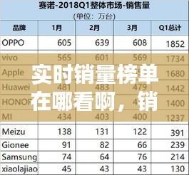 實時銷量榜單在哪看啊，銷量記錄 