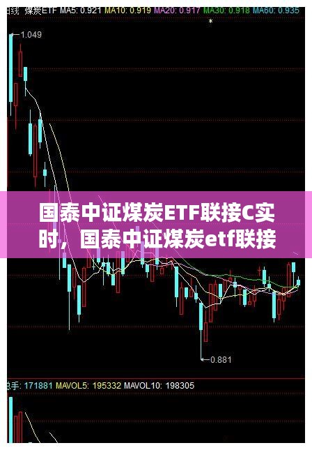國(guó)泰中證煤炭ETF聯(lián)接C實(shí)時(shí)，國(guó)泰中證煤炭etf聯(lián)接c基金 