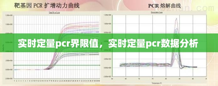 實時定量pcr界限值，實時定量pcr數(shù)據(jù)分析 