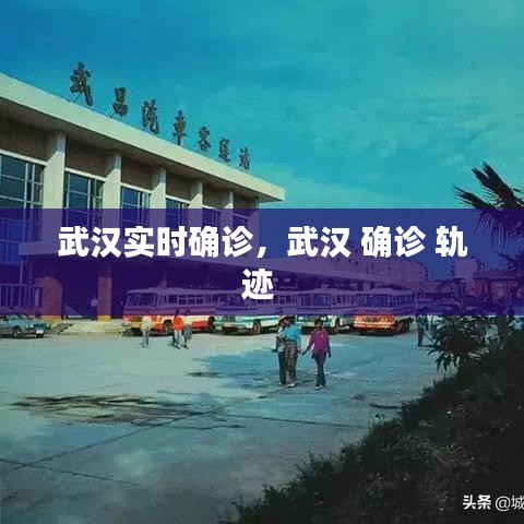 武漢實(shí)時(shí)確診，武漢 確診 軌跡 