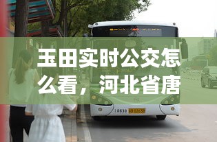 玉田實(shí)時(shí)公交怎么看，河北省唐山市玉田縣公交車 