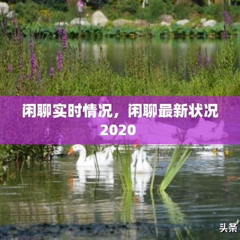 閑聊實(shí)時(shí)情況，閑聊最新?tīng)顩r2020 