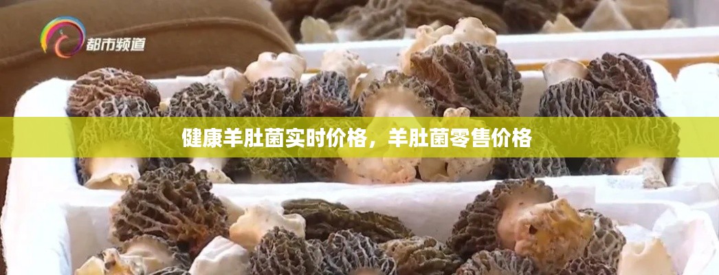 健康羊肚菌實時價格，羊肚菌零售價格 