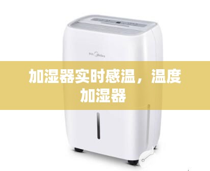 加濕器實(shí)時(shí)感溫，溫度加濕器 
