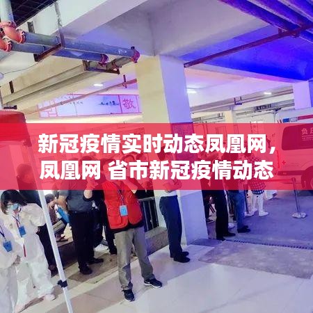 新冠疫情實時動態(tài)鳳凰網(wǎng)，鳳凰網(wǎng) 省市新冠疫情動態(tài) 