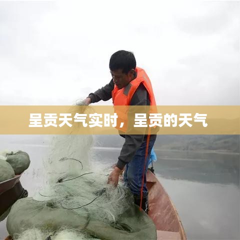 呈貢天氣實時，呈貢的天氣 