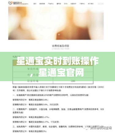 星通寶實時到賬操作，星通寶官網(wǎng) 
