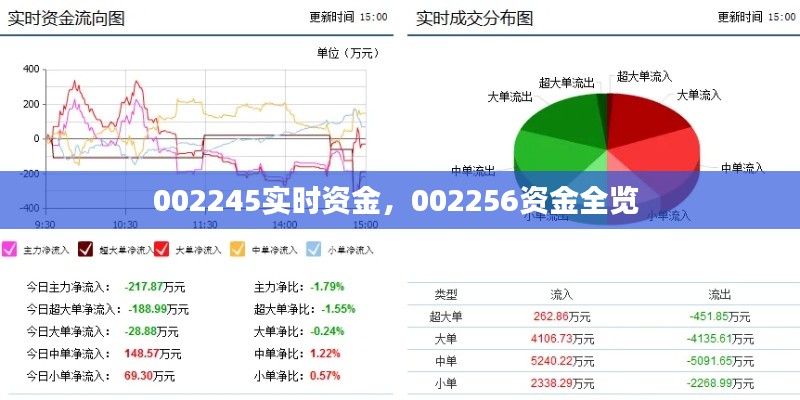 002245實時資金，002256資金全覽 