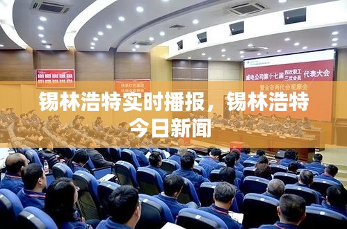錫林浩特實(shí)時(shí)播報(bào)，錫林浩特今日新聞 