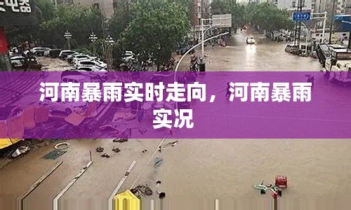 河南暴雨實時走向，河南暴雨實況 