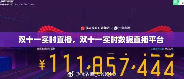 雙十一實時直播，雙十一實時數(shù)據(jù)直播平臺 