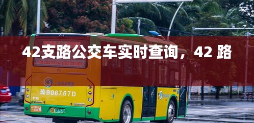 42支路公交車實(shí)時查詢，42 路 