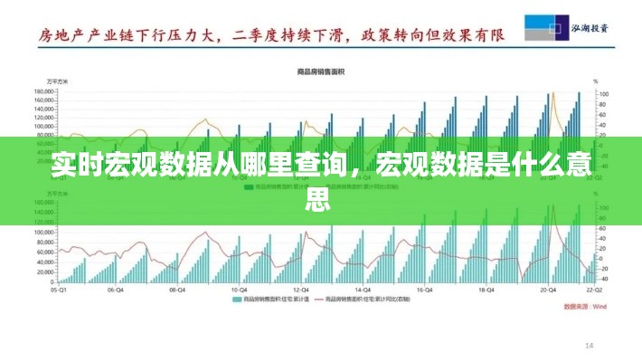 實(shí)時(shí)宏觀數(shù)據(jù)從哪里查詢，宏觀數(shù)據(jù)是什么意思 