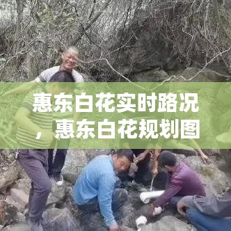 惠東白花實(shí)時(shí)路況，惠東白花規(guī)劃圖 