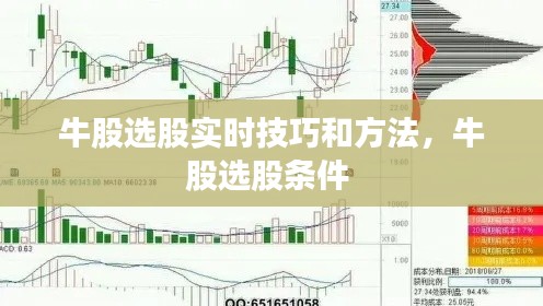 牛股選股實時技巧和方法，牛股選股條件 