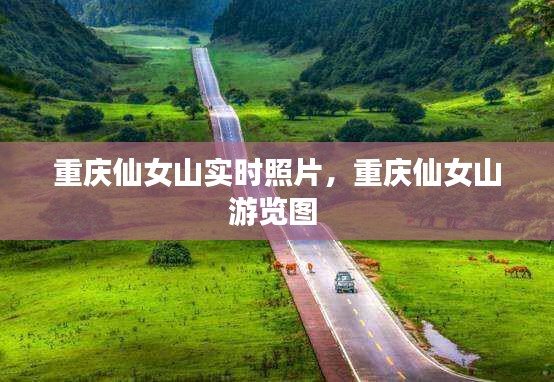 重慶仙女山實時照片，重慶仙女山游覽圖 