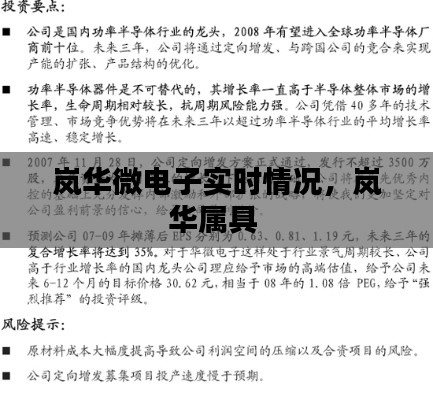 嵐華微電子實時情況，嵐華屬具 