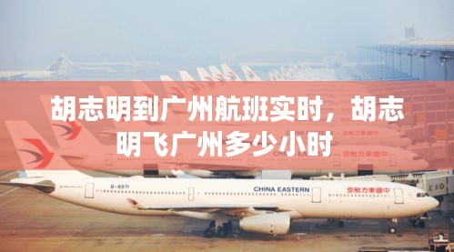 胡志明到廣州航班實時，胡志明飛廣州多少小時 