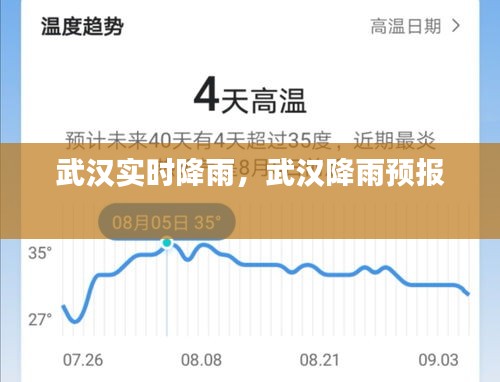 武漢實時降雨，武漢降雨預報 