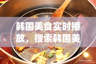 韓國美食實(shí)時(shí)播放，搜索韓國美食 