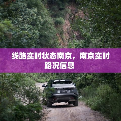 線路實(shí)時(shí)狀態(tài)南京，南京實(shí)時(shí)路況信息 