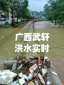 廣西武軒洪水實(shí)時(shí)情況，廣西武宣大事 